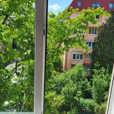 Apartament Florilor Baia Mare Exterior photo