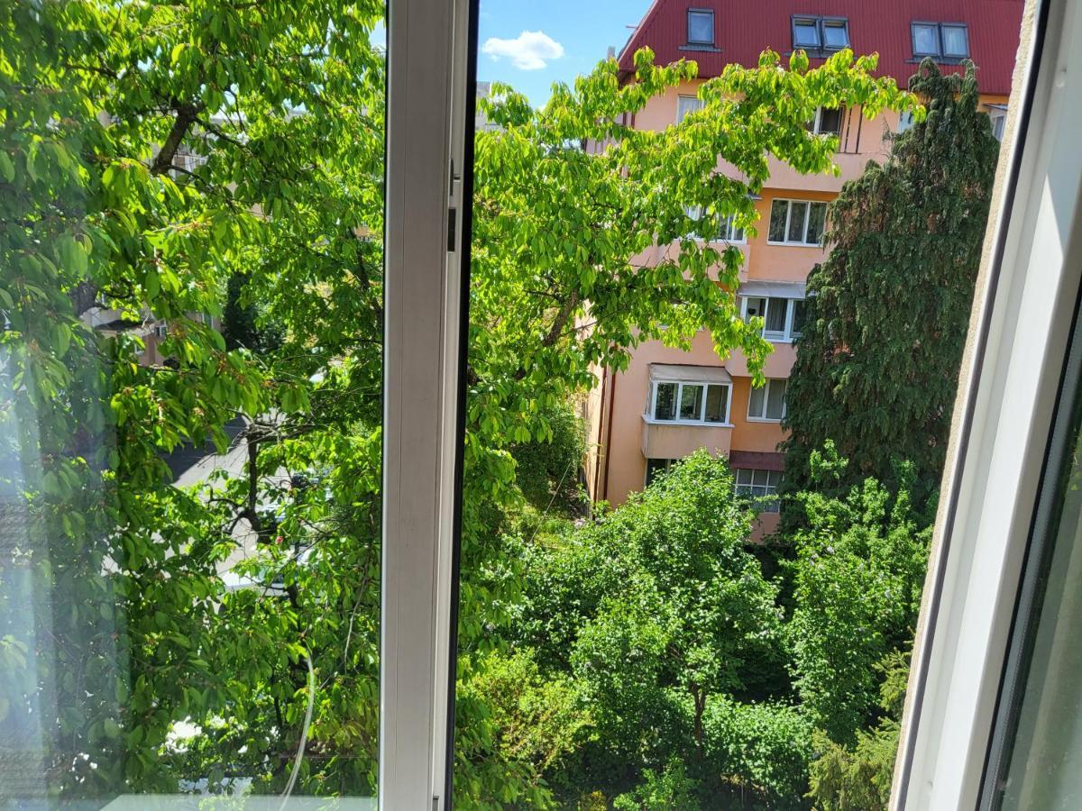 Apartament Florilor Baia Mare Exterior photo